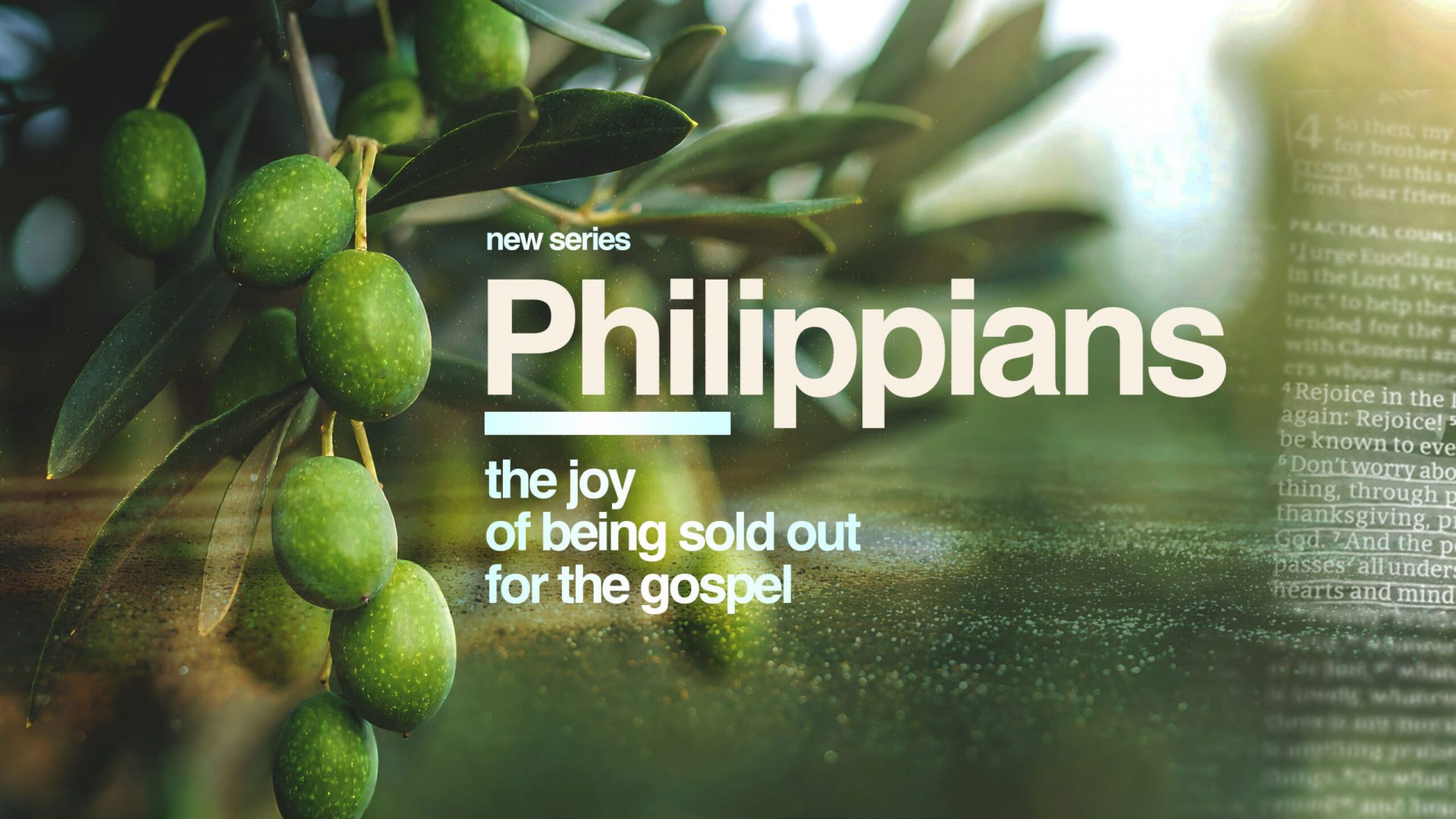 Philippians-Web
